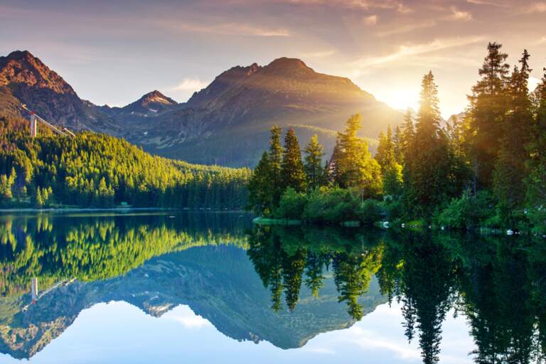 Promise of Eternal Life/Pathos & Glory: Part 2