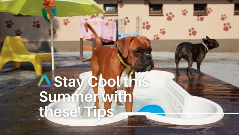 Stay Cool this Summer with these Extreme Heat Tips