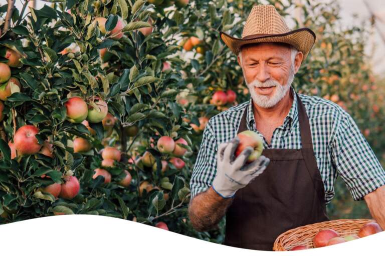 Evolve with the Fall: Tips for a Happier & Healthier Fall Season