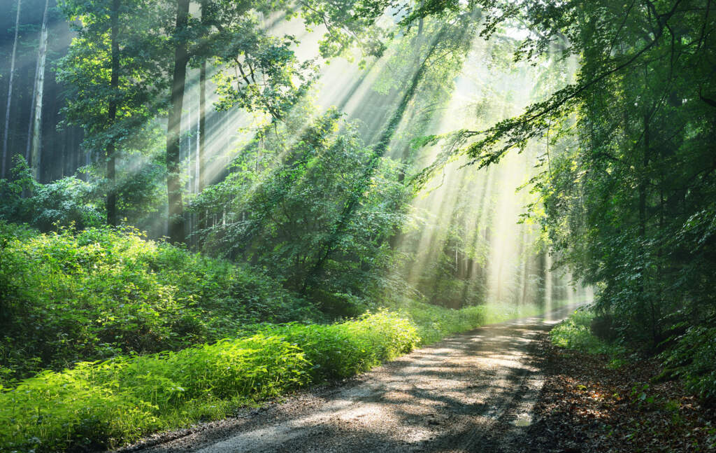 IHG October 2021 Care of the Spirit: Part 2