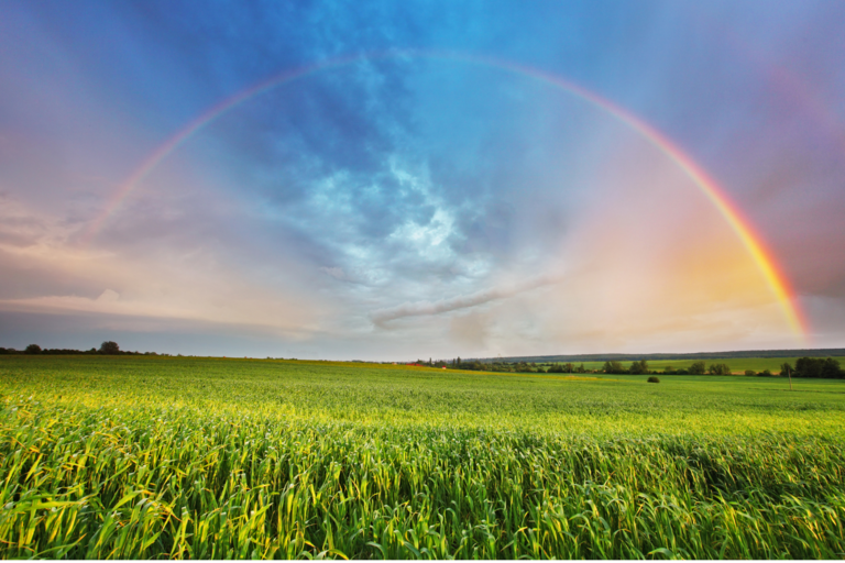 THE PROMISE OF HEALING Part:1