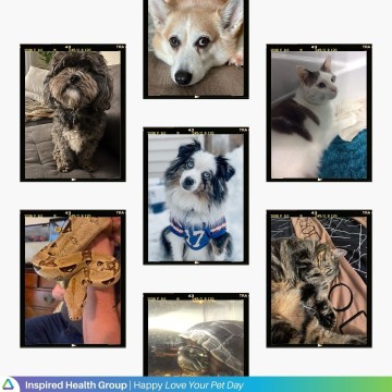 We love our pets!