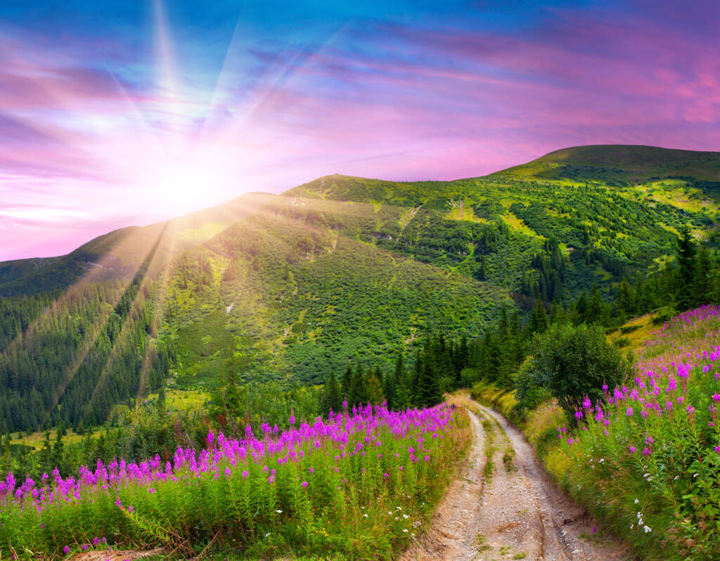 Recognizing Jesus Amidst the Turmoil of Life: Part 2